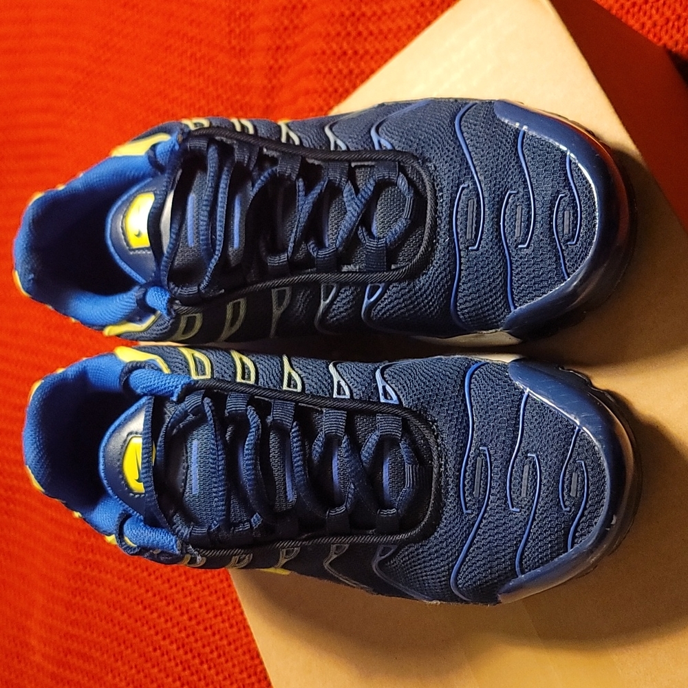 Nike Air Max Plus